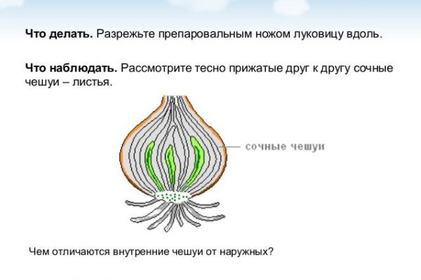 Как восстановить пароль кракен