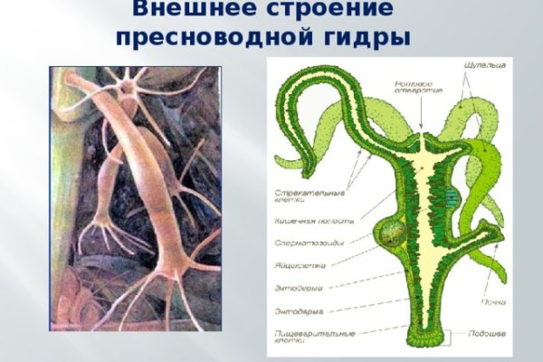 Современный маркетплейс kraken door