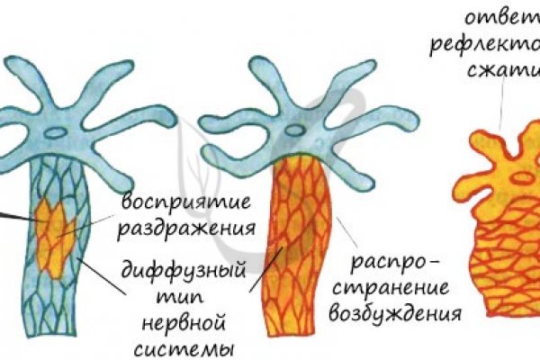 Кракен нар